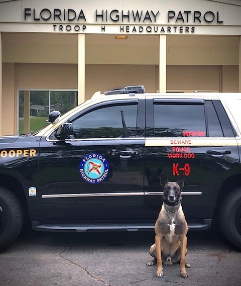 K9 Kane